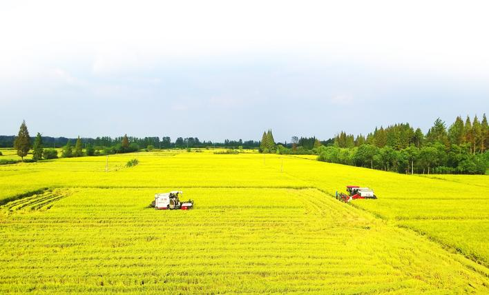 W020250924360157739887