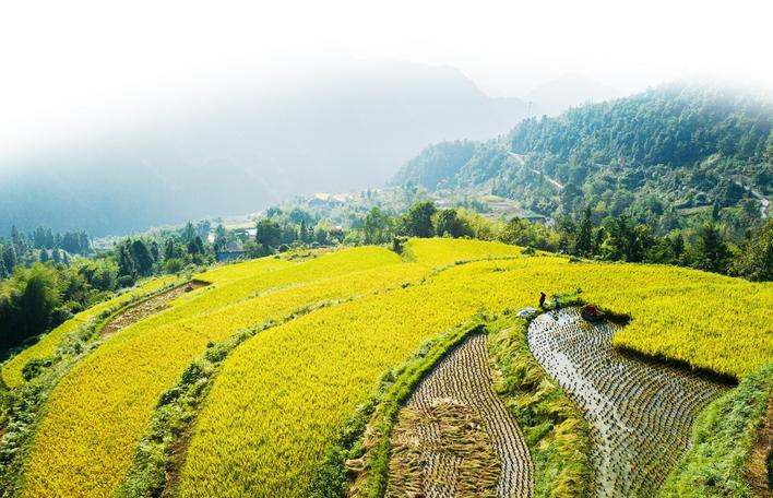 W020250924360169129805