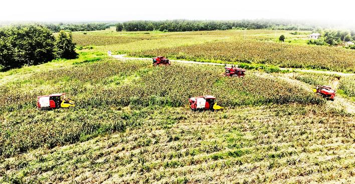 W020250924360178917715