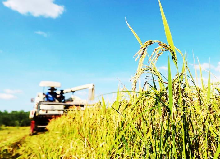 W020250924360185228860