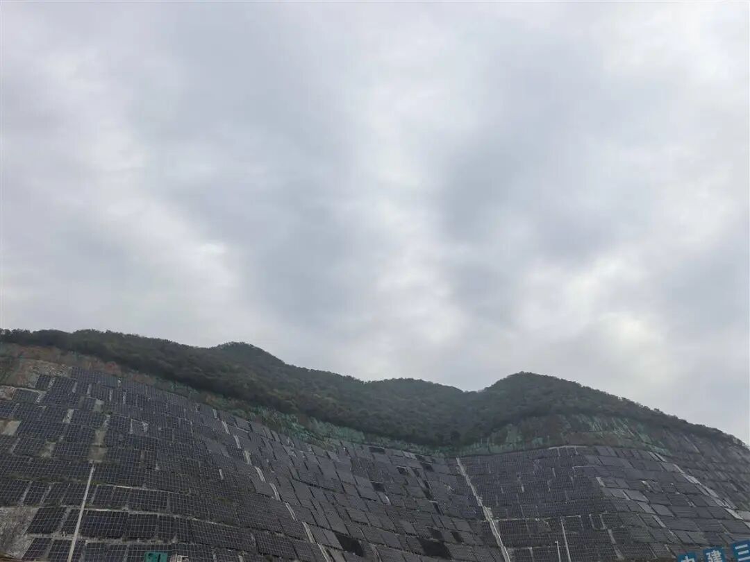 W020251106325790092742